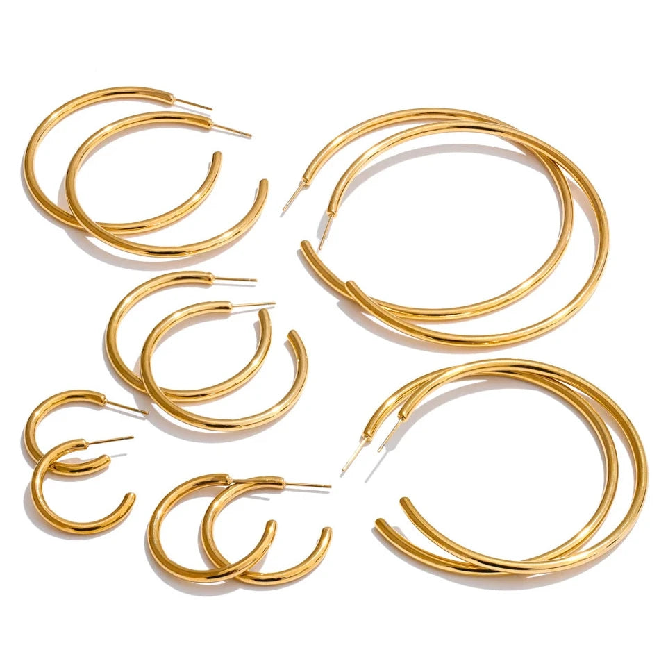 Classy Halo - Earrings