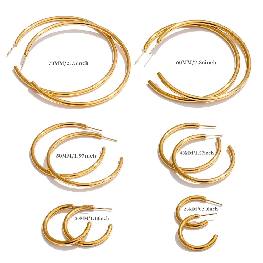 Classy Halo - Earrings